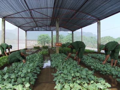 65 năm góp sức nuôi quân đánh giặc
