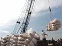 Miễn thuế 94 phần trăm hàng Việt Nam vào Nhật