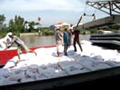 Kiên Giang nhiều khả năng xuất khẩu 700 ngàn tấn gạo trong năm nay