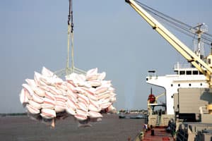 Lượng tăng, chất có tăng?
