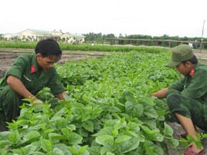 Đoàn 5 “thực túc binh cường..."