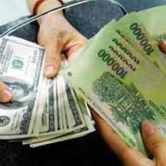 Tỷ giá đã hợp lý?