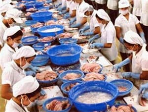 Thủy sản Việt Nam vẫn được ưa chuộng tại Mỹ
