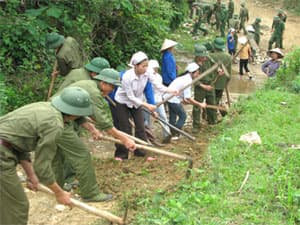 Bông hoa đỏ giữa rừng xanh