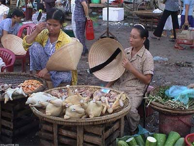 Bảo đảm an toàn vệ sinh thực phẩm trong dịp Tết Canh Dần