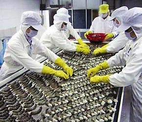 Xuất khẩu thủy sản khô thuận lợi