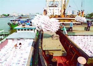 Xuất khẩu của Việt Nam có nhiều khởi sắc