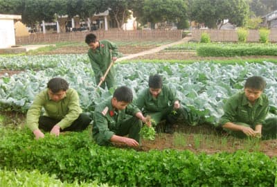 Khi anh nuôi không phải ra chợ…