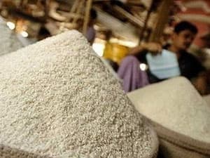 Giá thóc gạo có thể tăng 7% trong thời gian tới