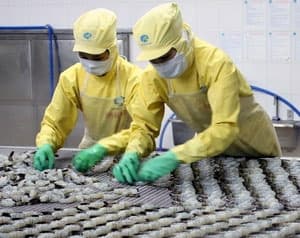 Kim ngạch xuất khẩu hàng hóa 4 tháng tăng 35,7%