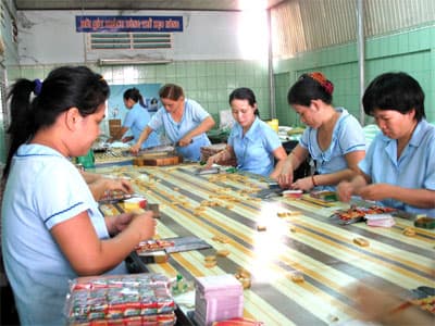 Thiếu nguyên liệu dừa để sản xuất