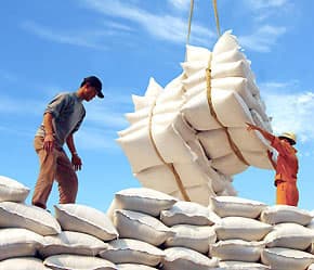 7 tháng: Xuất khẩu 4,7 triệu tấn gạo