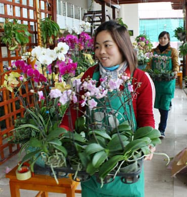 Giá “dễ chấp nhận”, khách hàng có nhiều lựa chọn