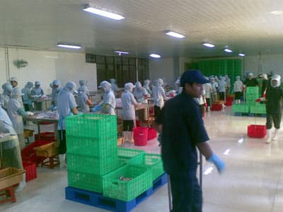 COIMEX - tay không làm nên sự nghiệp