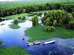 Cà Mau trở thành khu dự trữ sinh quyển thế giới