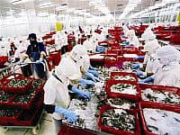 Thị trường xuất, nhập khẩu- những tín hiệu khởi sắc