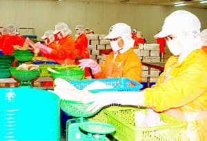 Xuất khẩu thủy sản năm 2009 nhắm đến đích 4,4 tỷ USD
