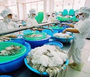EU sang kiểm tra chất lượng thuỷ sản Việt Nam