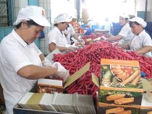 Giữa tháng 1 báo cáo Thủ tướng việc chuẩn bị Tết