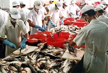 Tìm đột phá từ thị trường mới