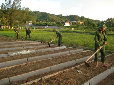 “Đảo xa đất liền...”