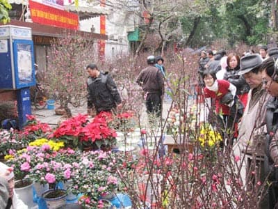 Hà Nội: Tổ chức 51 chợ hoa và chợ nông sản thực phẩm trong dịp Tết Canh Dần