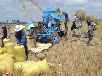 Việt Nam sẽ xuất khẩu 1,47 triệu tấn gạo trong quí 1/2010