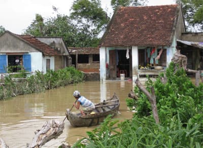 Lo dịch bệnh sau lũ