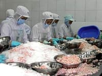 Phổ biến về chương trình thanh tra thủy sản của Mỹ
