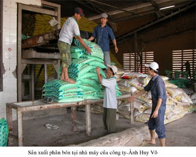 Mở rộng thị trường, nắm vững biến động giá