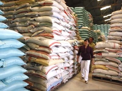 Nhu cầu nhập khẩu gạo sẽ tăng trong tháng 3