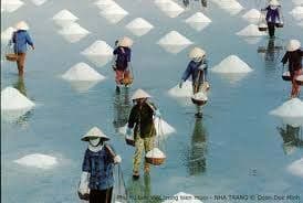 Quy định mới về nhập khẩu muối tại thị trường trong nước