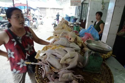 Người nội trợ tốn tiền lo đổi món nhằm tránh thịt lợn