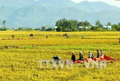 Căng thẳng giá tăng
