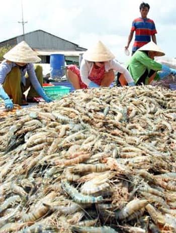 Hoa Kỳ thắt chặt pháp luật về chống bán phá giá và chống trợ cấp
