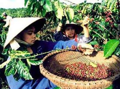 Những tín hiệu vui và bài học năm 2010