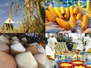 Xuất khẩu 2012: Áp lực mục tiêu vượt 100 tỷ USD