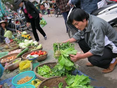 Sinh viên Huế sống chung với “bão giá” đầu năm
