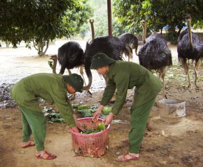 Bước tiến mới về bảo đảm đời sống bộ đội