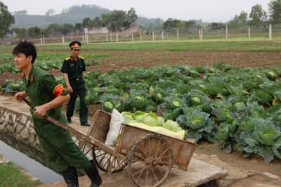 "Chủ trương một, biện pháp mười..."