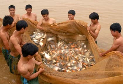 Ổn định đời sống nhờ "kế sách" tăng gia