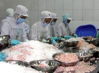 Xuất khẩu sang Nhật: Dễ mà khó