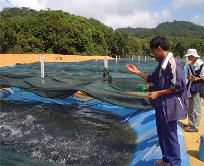 Đầu tư gần 3.000 tỷ đồng cho Chương trình phát triển nông nghiệp công nghệ cao