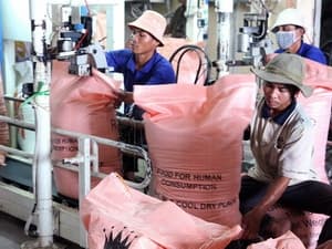 Cơ hội cho doanh nghiệp Việt thâm nhập thị trường mới nổi