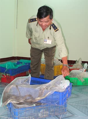 Bắt giữ gần 128kg động vật hoang dã
