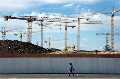 “Sư tử” châu Phi “sổ lồng”?