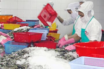 Doanh nghiệp thủy sản gặp khó