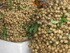 Cơ hội để quả vải, nhãn Việt Nam vào thị trường Mỹ