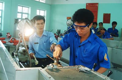 Hướng nghiệp, đào tạo và chính sách