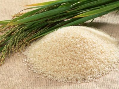 Nhiều nước Tây Phi muốn nhập khẩu gạo của Việt Nam